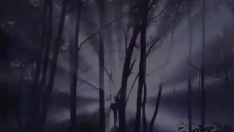 厉害了我的巧虎6